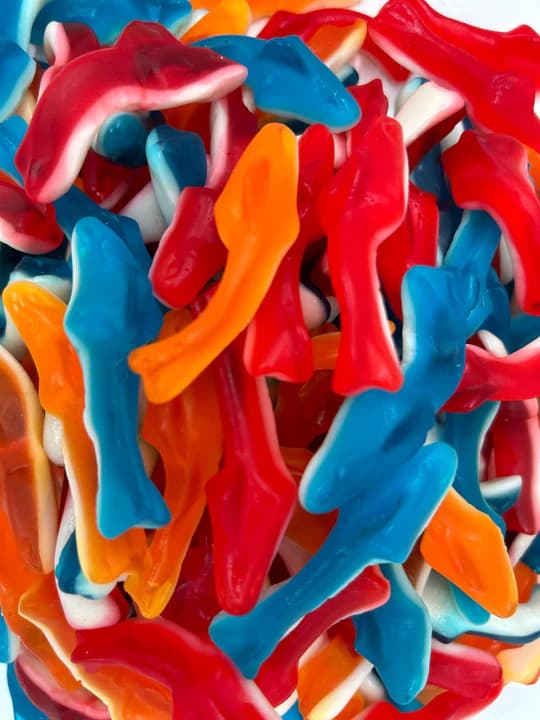 Requins colorés Lisses - 100 gr