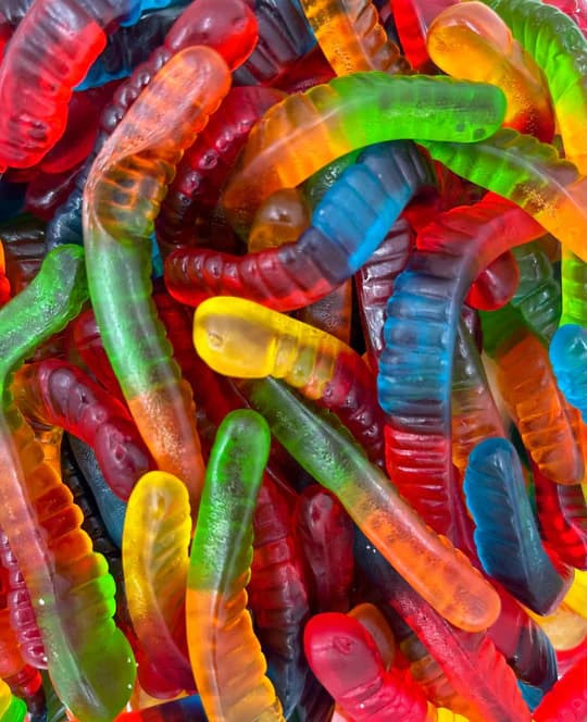 Vers de terre Lisses - 100 gr