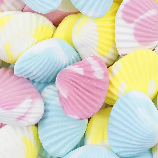 Coquillages lisses - 100 gr