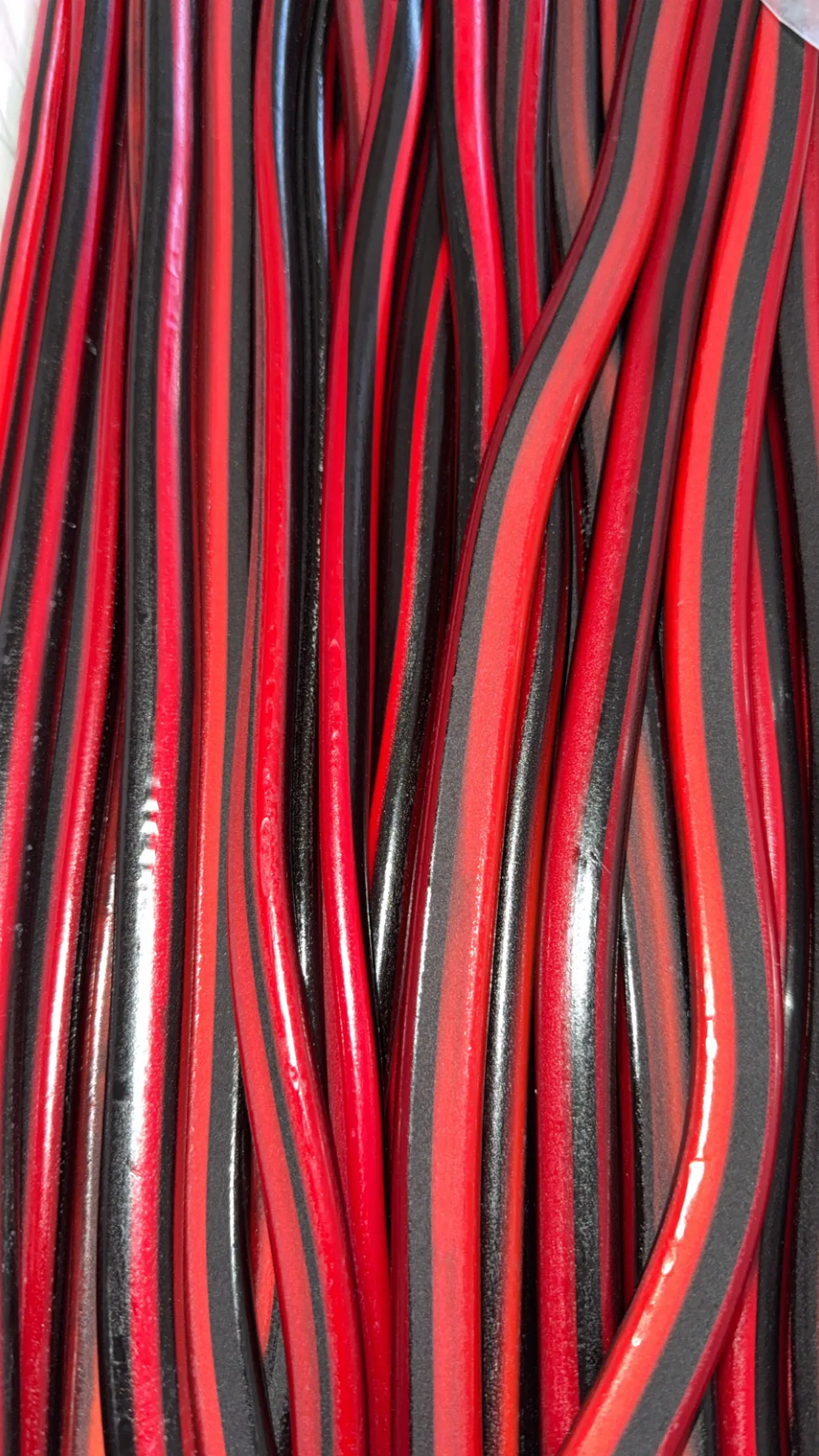 Maxi câble fruits rouges 60cm  - Unité