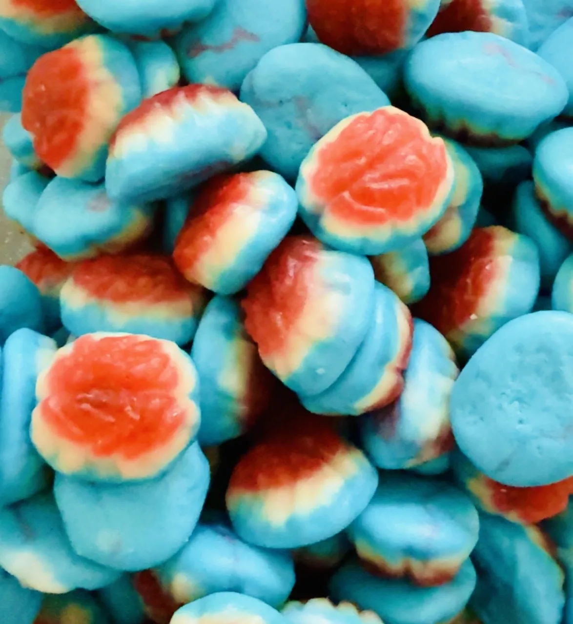 Cerveaux lisses bleu - 100 gr