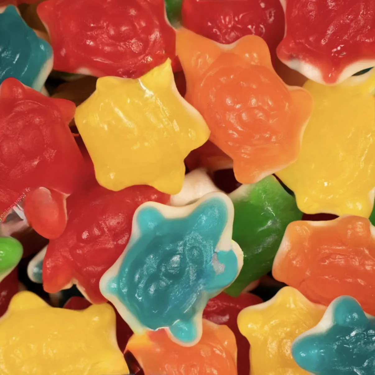 Tortues colorées lisses - 100 gr